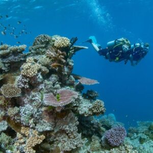 Scuba Diving in Playa del Carmen: Best Dive Sites and Tips