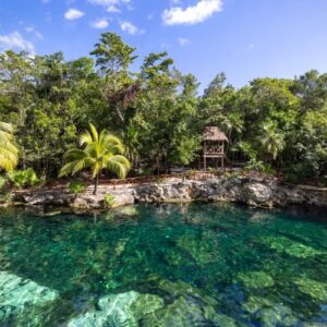 Best Cenotes in Playa del Carmen: Your Guide to Stunning Underwater Worlds