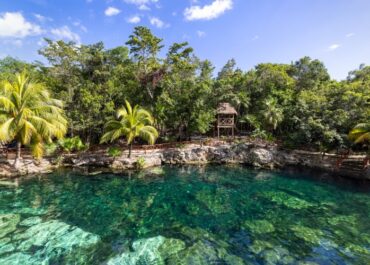 Best Cenotes in Playa del Carmen: Your Guide to Stunning Underwater Worlds