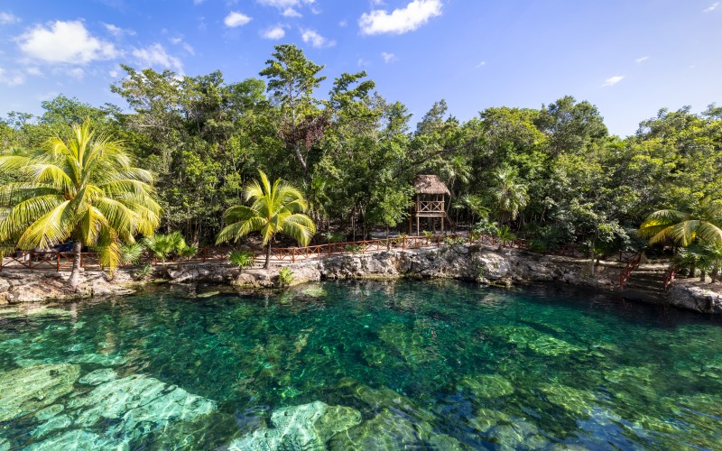 best cenotes in playa del carmen